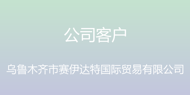 公司客户 - 乌鲁木齐市赛伊达特国际贸易有限公司